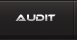 audit