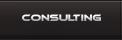 consulting